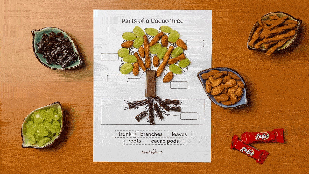 using a variety of snacks, candy, and fruit to build the cacao tree